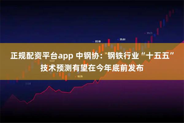 正规配资平台app 中钢协：钢铁行业“十五五”技术预测有望在今年底前发布
